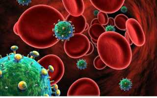 Сепсис крови — опасная патология с высокой смертностью
