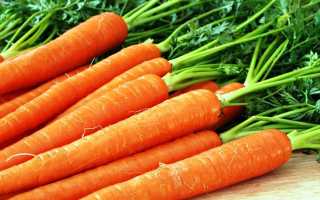 Морковь при гастрите: вред или польза
