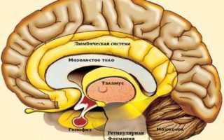 МРТ при новообразованиях головного мозга: максимальная визуализация патологии